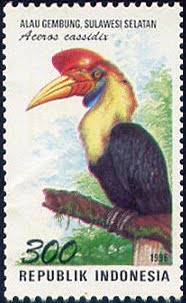 Stamp hornbill